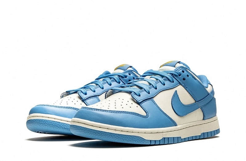 nike dd1503 wmns dunk low
